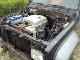 Suzuki Clasico nitido