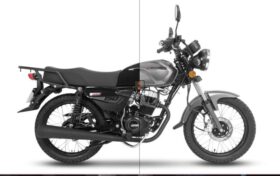 DAYTONA WorfForce 150 cc