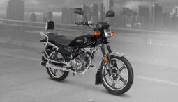 
										Negociable Shineray XY 150 CLÁSICA completo									